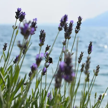 호텔 La Fiorita 4*